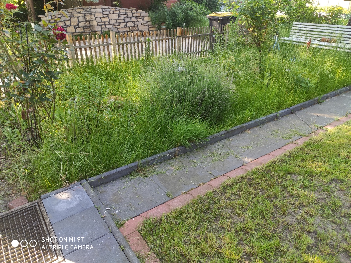 Pflaster- & Terrassenarbeiten — Foto 24