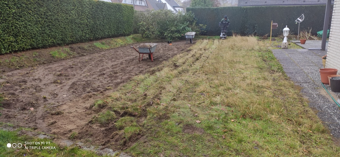 Rollrasen verlegt — Foto 7