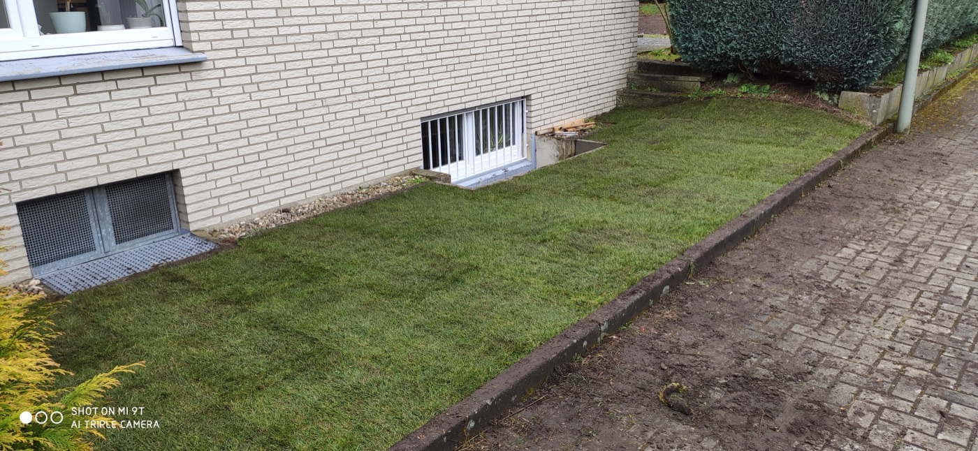 Rollrasen verlegt — Foto 16