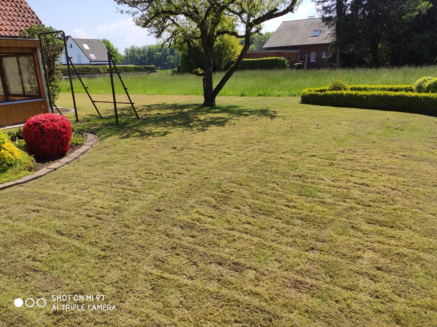 Rollrasen verlegt — Foto 33