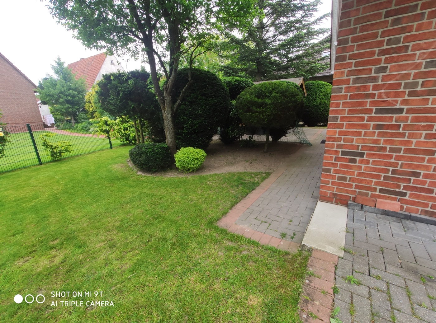 Rollrasen verlegt — Foto 43