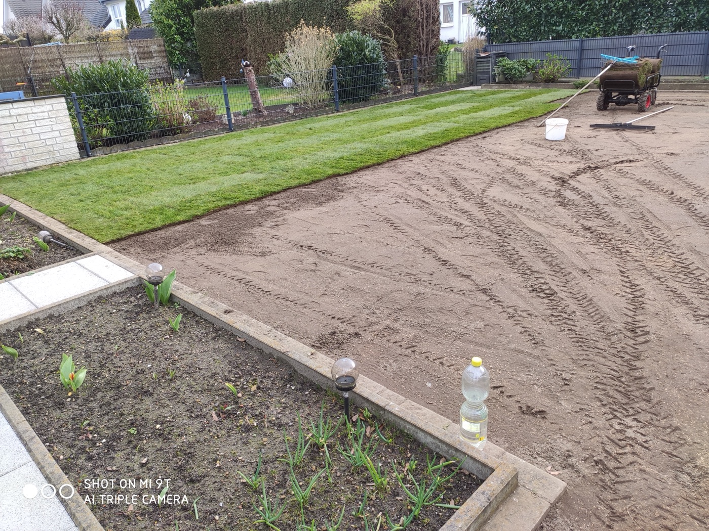 Rollrasen verlegt — Foto 72