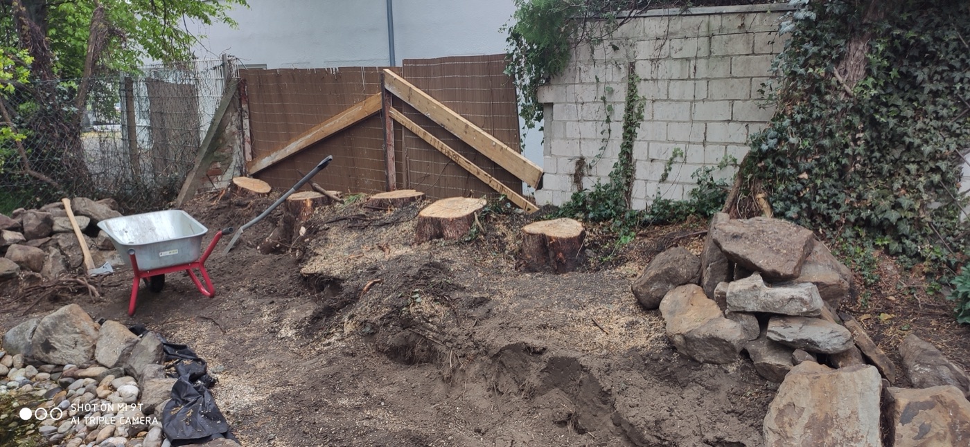 Stubben gefräst — Foto 2