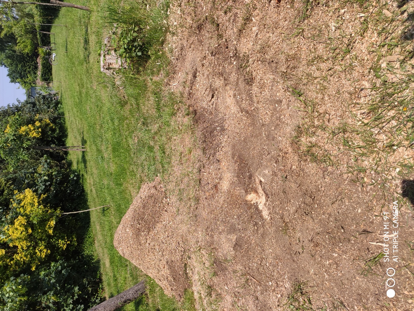 Stubben gefräst — Foto 20
