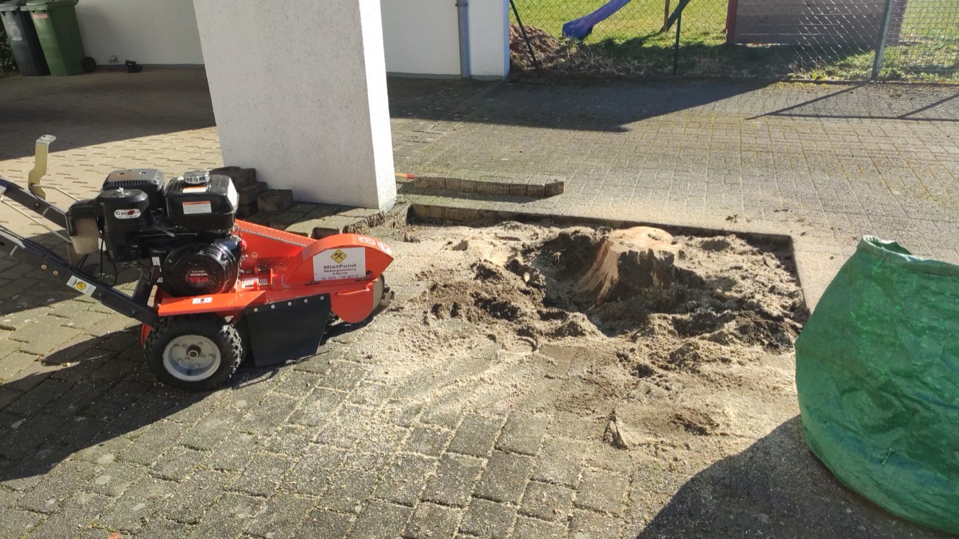 Stubben gefräst — Foto 30