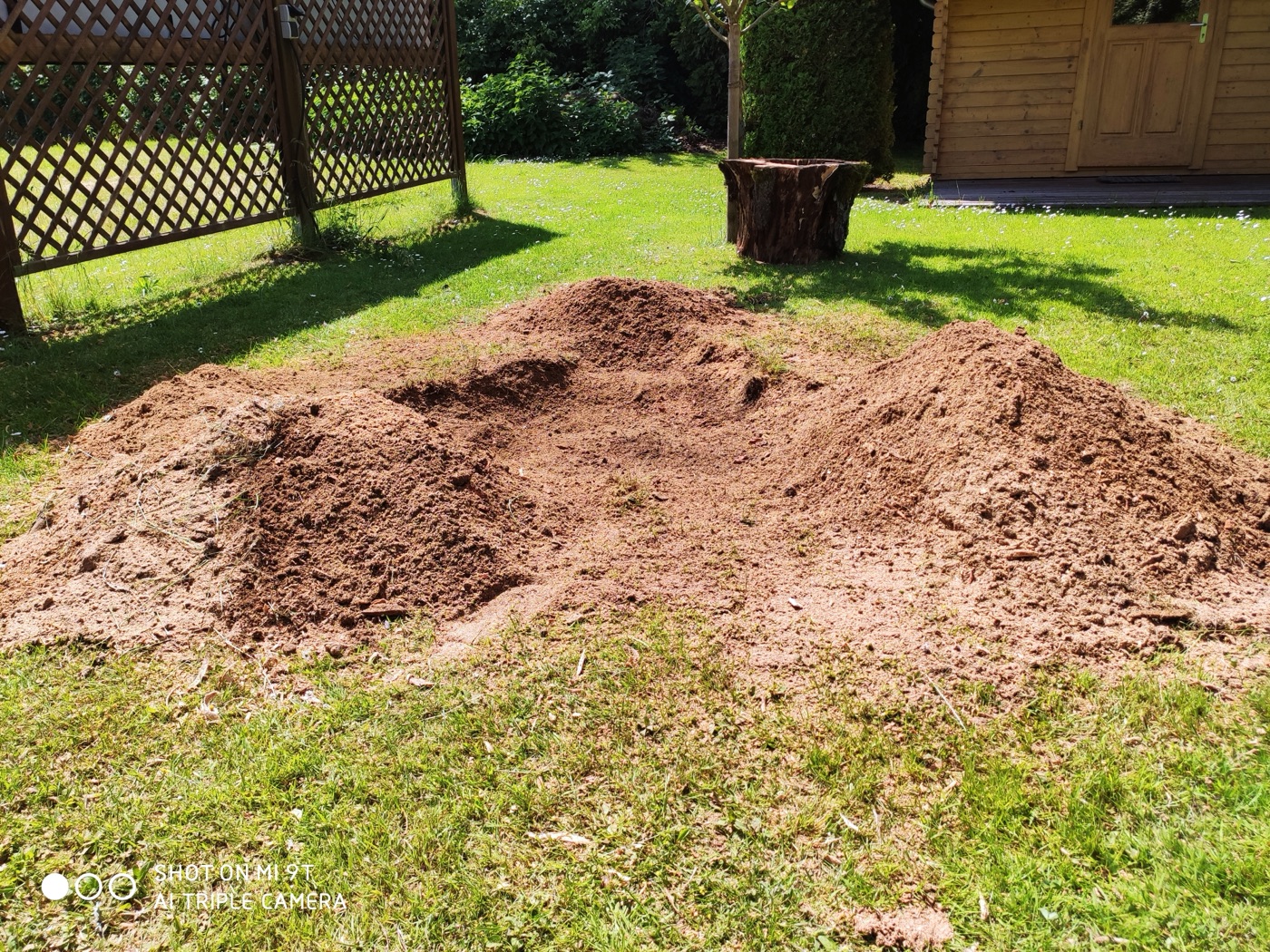 Stubben gefräst — Foto 32